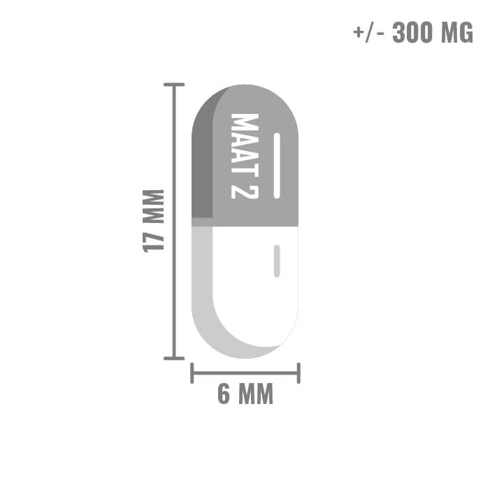 Maagsapresistente capsules maat 2, transparant, speciaal ontworpen voor gecontroleerde afgifte van medicijnen in de dunne darm. Verkrijgbaar op Lege-capsules.com.