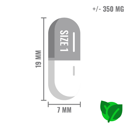 Illustratie van een veganistische capsule van maat 1, 19 mm lang en 7 mm breed, met een inhoud van ongeveer 350 mg.