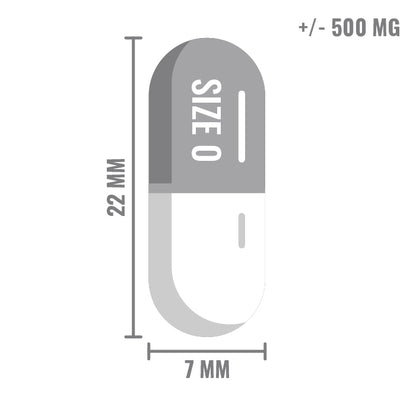 Lege capsules maat 0 transparant – gelatine ca. 500 mg, 22x7 mm